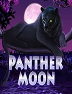 วิธีเล่น joker net: รู้จักกับเกมสล็อตพีจี